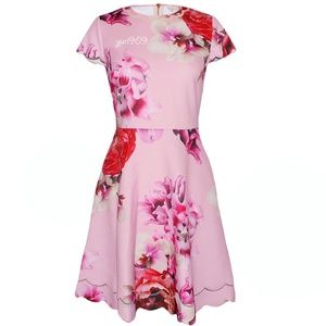 seeana splendour skater dress